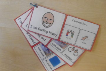 emotion response visual support asd teacher